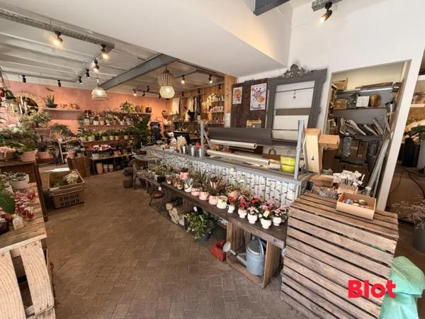 Immeuble 4 pièce(s)