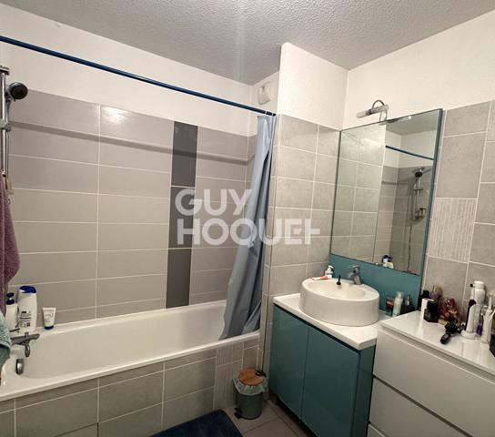 Bel appartement T3 - Blagnac