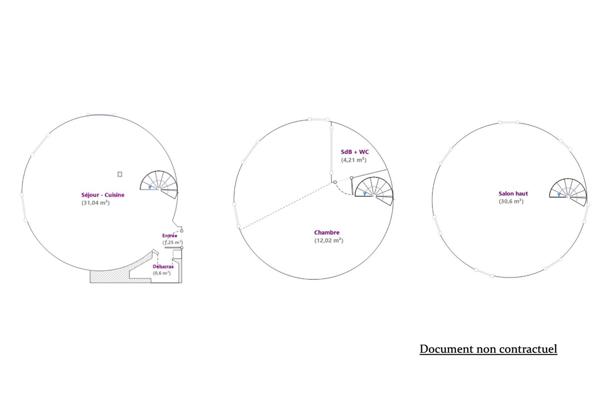 Derniers étages sous dôme avec vue panoramique sur Paris