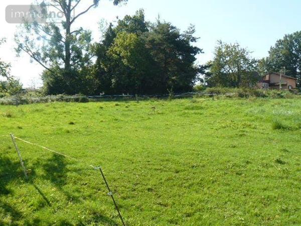 Terrain à Batir à vendre à Sainte-Barbe dans les Vosges (88700), ref : 2155