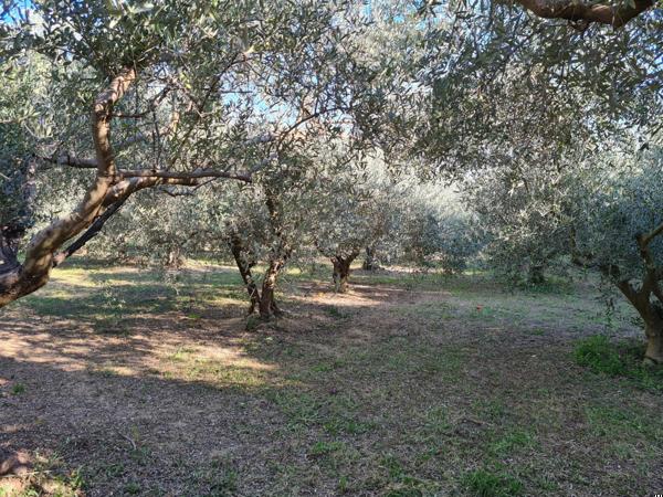 Terrain à MANOSQUE, 04100 - 841m²