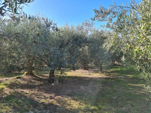 Terrain à MANOSQUE, 04100 - 841m²