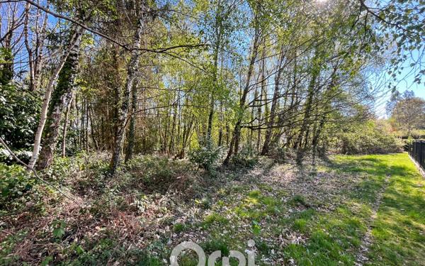 Terrain à vendre    Ambazac