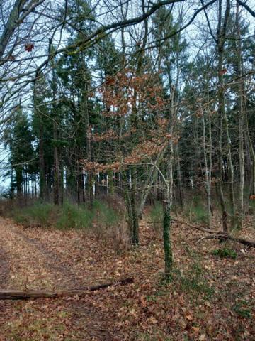 Terrain Saint Pere Sur Loire 31200 m2