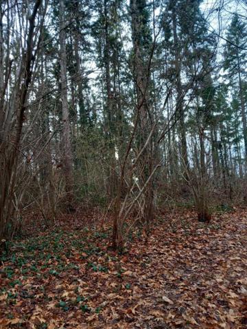 Terrain Saint Pere Sur Loire 31200 m2