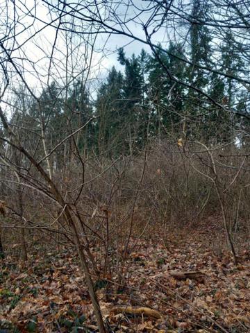 Terrain Saint Pere Sur Loire 31200 m2