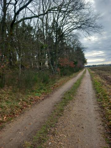 Terrain Saint Pere Sur Loire 31200 m2