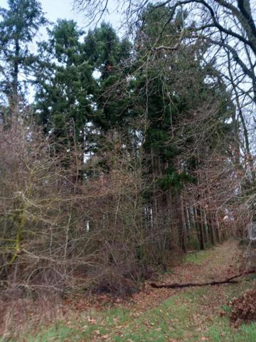 Terrain Saint Pere Sur Loire 31200 m2