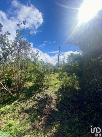 Terrain à vendre 736 m² Le Tampon