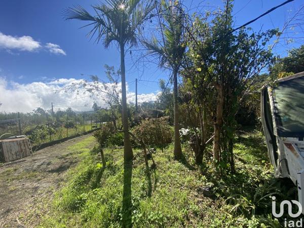 Terrain à vendre 736 m² Le Tampon