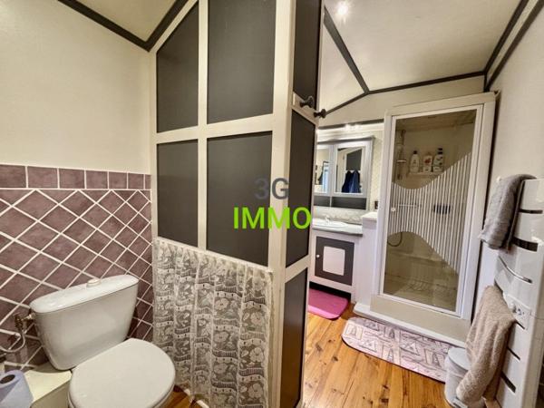 Vente / Maison en pierre