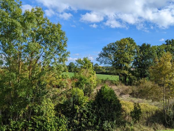 Maison à vendre à Montgivray (36400) - Indre