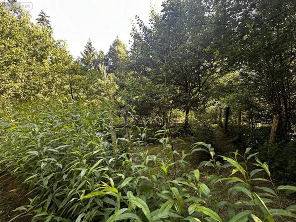 Maison à vendre à Bourgueil dans l'Indre-et-Loire (37140), ref : 49046/816