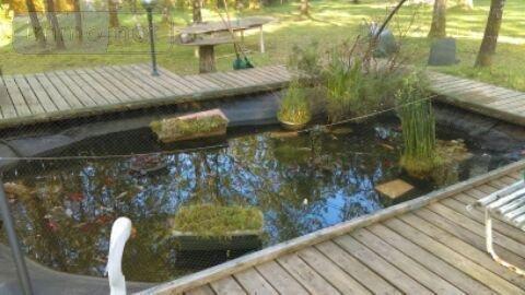 Maison individuelle à vendre à Camors dans le Morbihan (56330), ref : 065/1762   
Campagne