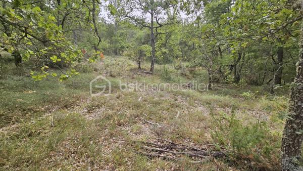 Votre conseillère BSK Immobilier, Fabienne Rigaud, vous fait découvrir ce vaste terrain non constructible et forestier de plus de 7 hectares 500, situé sur le secteur d’Oraison / Les Mées.

Le terrain se trouve à environ 1,3 km de la route, dont près de 300 mètres par un chemin carrossable, offrant un accès relativement facile tout en bénéficiant d’un cadre particulièrement calme et isolé.

Plus de 7 hectares 500 de nature, idéal pour les amoureux des grands espaces, de la forêt et de la tranquillité.

Terrain non constructible, offrant un cadre naturel préservé, sous réserve de la réglementation en vigueur.

Un emplacement privilégié pour profiter d’un véritable havre de nature, à l’écart des nuisances et de l’agitation.

À découvrir sans tarder !