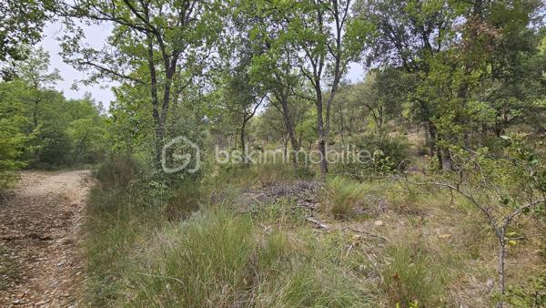 Votre conseillère BSK Immobilier, Fabienne Rigaud, vous fait découvrir ce vaste terrain non constructible et forestier de plus de 7 hectares 500, situé sur le secteur d’Oraison / Les Mées.

Le terrain se trouve à environ 1,3 km de la route, dont près de 300 mètres par un chemin carrossable, offrant un accès relativement facile tout en bénéficiant d’un cadre particulièrement calme et isolé.

Plus de 7 hectares 500 de nature, idéal pour les amoureux des grands espaces, de la forêt et de la tranquillité.

Terrain non constructible, offrant un cadre naturel préservé, sous réserve de la réglementation en vigueur.

Un emplacement privilégié pour profiter d’un véritable havre de nature, à l’écart des nuisances et de l’agitation.

À découvrir sans tarder !