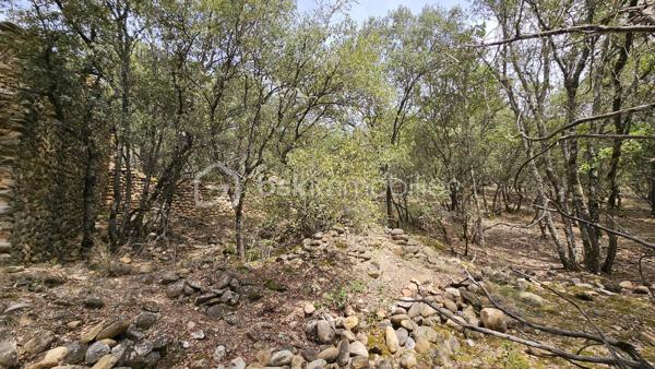 Votre conseillère BSK Immobilier, Fabienne Rigaud, vous fait découvrir ce vaste terrain non constructible et forestier de plus de 7 hectares 500, situé sur le secteur d’Oraison / Les Mées.

Le terrain se trouve à environ 1,3 km de la route, dont près de 300 mètres par un chemin carrossable, offrant un accès relativement facile tout en bénéficiant d’un cadre particulièrement calme et isolé.

Plus de 7 hectares 500 de nature, idéal pour les amoureux des grands espaces, de la forêt et de la tranquillité.

Terrain non constructible, offrant un cadre naturel préservé, sous réserve de la réglementation en vigueur.

Un emplacement privilégié pour profiter d’un véritable havre de nature, à l’écart des nuisances et de l’agitation.

À découvrir sans tarder !