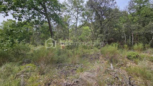 Votre conseillère BSK Immobilier, Fabienne Rigaud, vous fait découvrir ce vaste terrain non constructible et forestier de plus de 7 hectares 500, situé sur le secteur d’Oraison / Les Mées.

Le terrain se trouve à environ 1,3 km de la route, dont près de 300 mètres par un chemin carrossable, offrant un accès relativement facile tout en bénéficiant d’un cadre particulièrement calme et isolé.

Plus de 7 hectares 500 de nature, idéal pour les amoureux des grands espaces, de la forêt et de la tranquillité.

Terrain non constructible, offrant un cadre naturel préservé, sous réserve de la réglementation en vigueur.

Un emplacement privilégié pour profiter d’un véritable havre de nature, à l’écart des nuisances et de l’agitation.

À découvrir sans tarder !