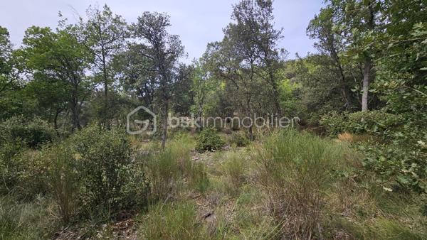 Votre conseillère BSK Immobilier, Fabienne Rigaud, vous fait découvrir ce vaste terrain non constructible et forestier de plus de 7 hectares 500, situé sur le secteur d’Oraison / Les Mées.

Le terrain se trouve à environ 1,3 km de la route, dont près de 300 mètres par un chemin carrossable, offrant un accès relativement facile tout en bénéficiant d’un cadre particulièrement calme et isolé.

Plus de 7 hectares 500 de nature, idéal pour les amoureux des grands espaces, de la forêt et de la tranquillité.

Terrain non constructible, offrant un cadre naturel préservé, sous réserve de la réglementation en vigueur.

Un emplacement privilégié pour profiter d’un véritable havre de nature, à l’écart des nuisances et de l’agitation.

À découvrir sans tarder !