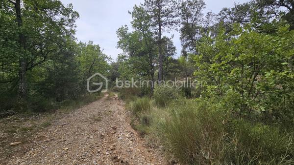Votre conseillère BSK Immobilier, Fabienne Rigaud, vous fait découvrir ce vaste terrain non constructible et forestier de plus de 7 hectares 500, situé sur le secteur d’Oraison / Les Mées.

Le terrain se trouve à environ 1,3 km de la route, dont près de 300 mètres par un chemin carrossable, offrant un accès relativement facile tout en bénéficiant d’un cadre particulièrement calme et isolé.

Plus de 7 hectares 500 de nature, idéal pour les amoureux des grands espaces, de la forêt et de la tranquillité.

Terrain non constructible, offrant un cadre naturel préservé, sous réserve de la réglementation en vigueur.

Un emplacement privilégié pour profiter d’un véritable havre de nature, à l’écart des nuisances et de l’agitation.

À découvrir sans tarder !