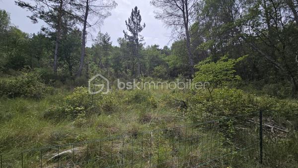 Votre conseillère BSK Immobilier, Fabienne Rigaud, vous fait découvrir ce vaste terrain non constructible et forestier de plus de 7 hectares 500, situé sur le secteur d’Oraison / Les Mées.

Le terrain se trouve à environ 1,3 km de la route, dont près de 300 mètres par un chemin carrossable, offrant un accès relativement facile tout en bénéficiant d’un cadre particulièrement calme et isolé.

Plus de 7 hectares 500 de nature, idéal pour les amoureux des grands espaces, de la forêt et de la tranquillité.

Terrain non constructible, offrant un cadre naturel préservé, sous réserve de la réglementation en vigueur.

Un emplacement privilégié pour profiter d’un véritable havre de nature, à l’écart des nuisances et de l’agitation.

À découvrir sans tarder !