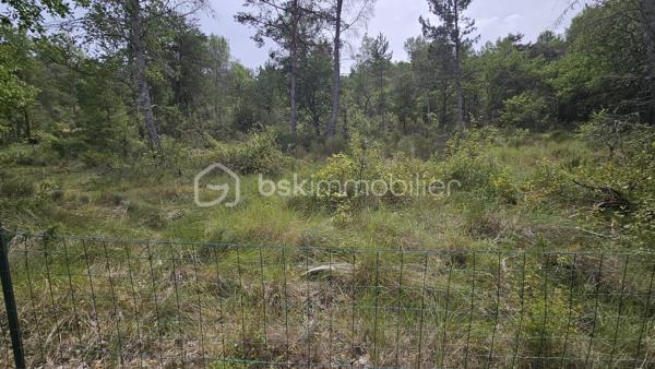 Votre conseillère BSK Immobilier, Fabienne Rigaud, vous fait découvrir ce vaste terrain non constructible et forestier de plus de 7 hectares 500, situé sur le secteur d’Oraison / Les Mées.

Le terrain se trouve à environ 1,3 km de la route, dont près de 300 mètres par un chemin carrossable, offrant un accès relativement facile tout en bénéficiant d’un cadre particulièrement calme et isolé.

Plus de 7 hectares 500 de nature, idéal pour les amoureux des grands espaces, de la forêt et de la tranquillité.

Terrain non constructible, offrant un cadre naturel préservé, sous réserve de la réglementation en vigueur.

Un emplacement privilégié pour profiter d’un véritable havre de nature, à l’écart des nuisances et de l’agitation.

À découvrir sans tarder !