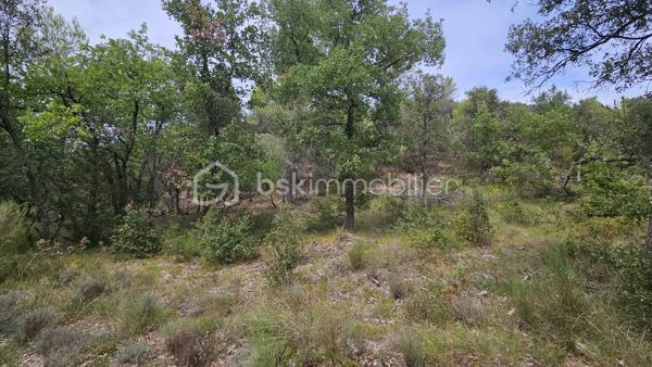 Votre conseillère BSK Immobilier, Fabienne Rigaud, vous fait découvrir ce vaste terrain non constructible et forestier de plus de 7 hectares 500, situé sur le secteur d’Oraison / Les Mées.

Le terrain se trouve à environ 1,3 km de la route, dont près de 300 mètres par un chemin carrossable, offrant un accès relativement facile tout en bénéficiant d’un cadre particulièrement calme et isolé.

Plus de 7 hectares 500 de nature, idéal pour les amoureux des grands espaces, de la forêt et de la tranquillité.

Terrain non constructible, offrant un cadre naturel préservé, sous réserve de la réglementation en vigueur.

Un emplacement privilégié pour profiter d’un véritable havre de nature, à l’écart des nuisances et de l’agitation.

À découvrir sans tarder !