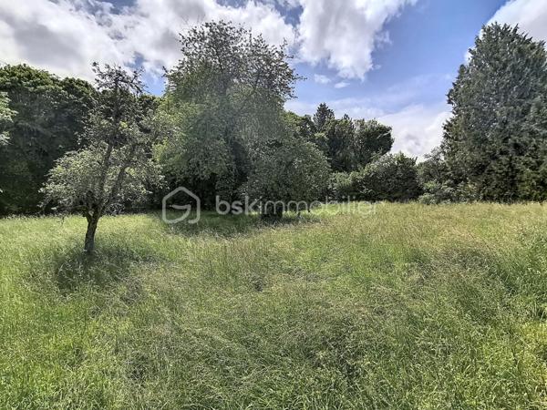 Terrain de 2 439 m²