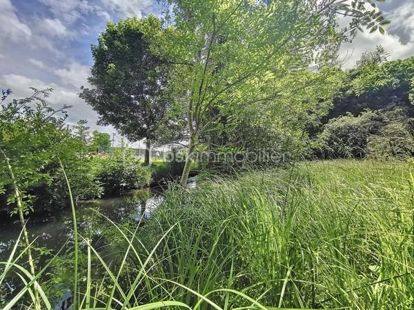 Terrain de 2 439 m²