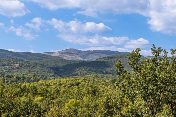 Vente Mas Tourrettes 10 Pièces 372 m²