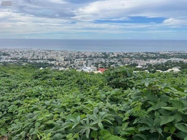 Terrain à Batir à vendre à Saint-Denis à la Réunion (97400), ref : MTBA/DLB33   
Colline des Camélias
