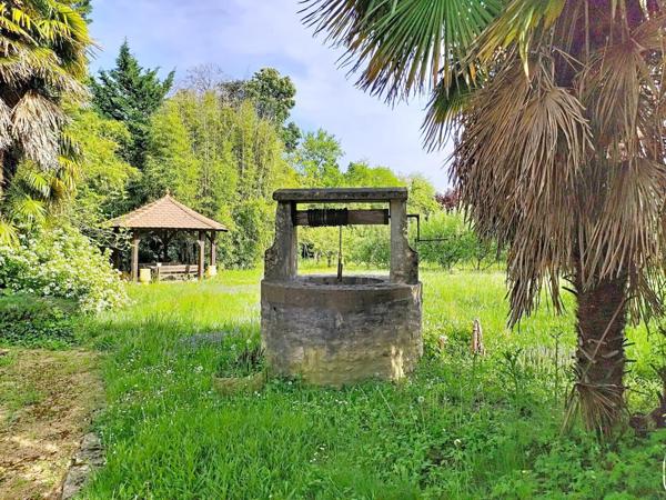 Maison avec sous-sol complet et grand terrain arboré