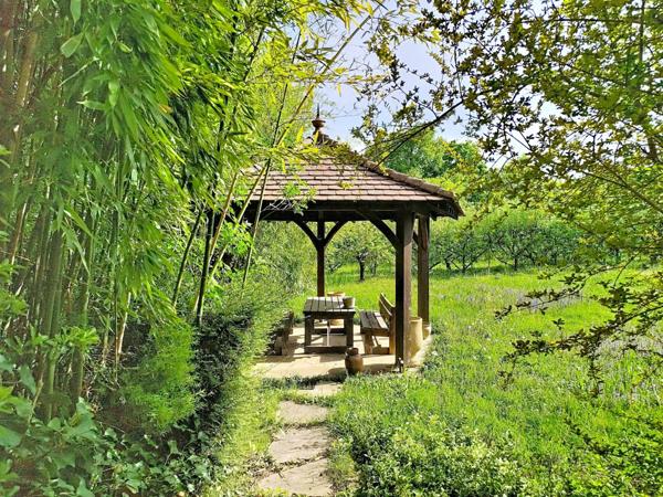 Maison avec sous-sol complet et grand terrain arboré
