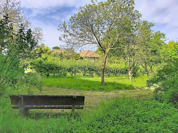 Maison avec sous-sol complet et grand terrain arboré