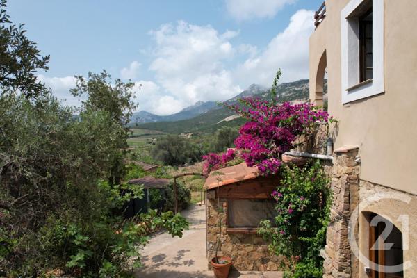 Maison à vendre  12 pièces - 253,98 m2 CALVI - 202