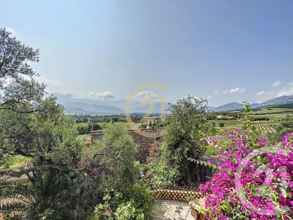 Maison à vendre  12 pièces - 253,98 m2 CALVI - 202