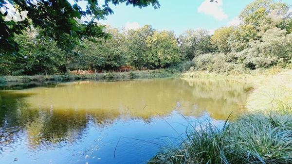 Parcelle de terre aménagée d'un étang 