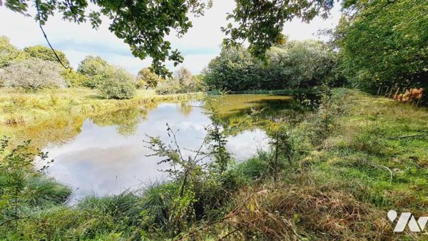 Parcelle de terre aménagée d'un étang 