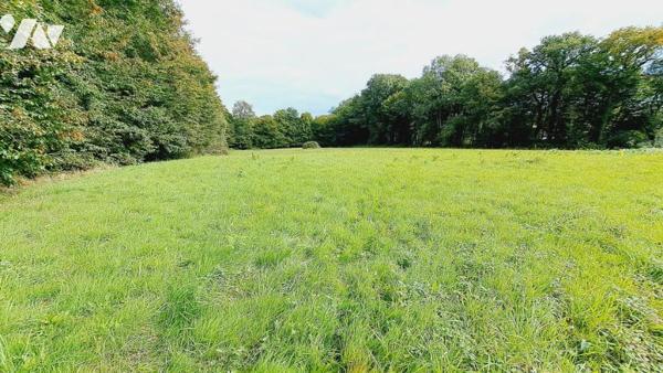 Parcelle de terre aménagée d'un étang 