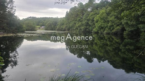 Maison à LIGNOL, 56160 - 6 pièces 135m²