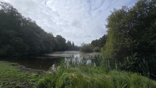 Maison à LIGNOL, 56160 - 6 pièces 135m²