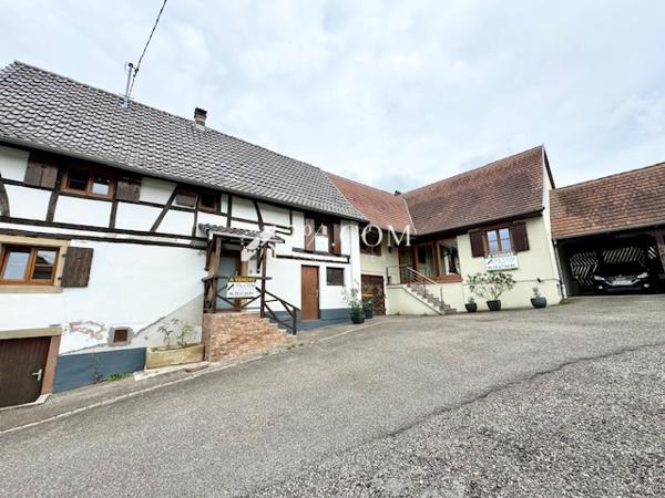 3%COM Ensemble de 2 maisons 255m2 avec cour et jardin - 7 ares  Hochfelden (67270)