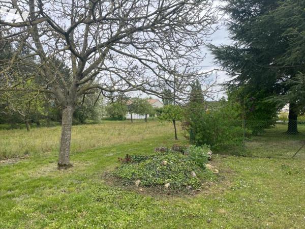 SAINT GEORGES LES BAILLARGEAUX - LE PEU