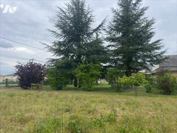 SAINT GEORGES LES BAILLARGEAUX - LE PEU