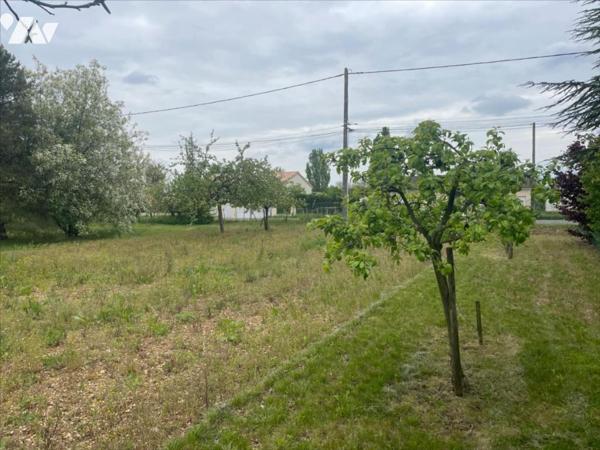 SAINT GEORGES LES BAILLARGEAUX - LE PEU