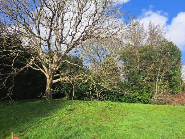 Achat - Terrain à bâtir Quimperlé 29300 377 m 2