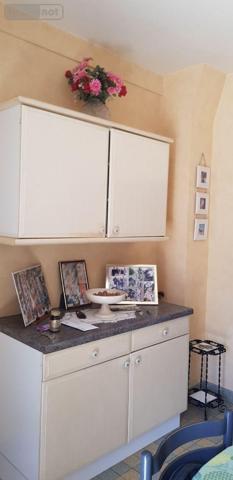 Maison à vendre à Châtres-sur-Cher dans le Loir-et-Cher (41320), ref : 41036/3061