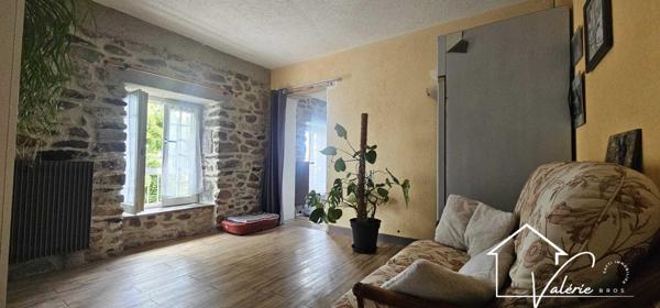 Ensemble immobilier de caractère aux multiples possibilités !