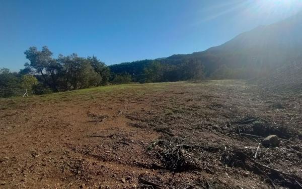 Terrain à vendre    Prades