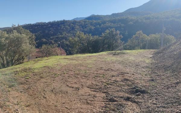 Terrain à vendre    Prades